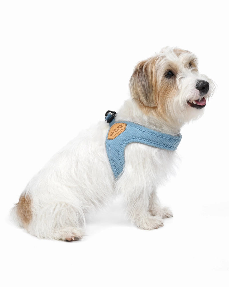 "Roy" Corduroy Buckle Up Easy Dog Harness in Baby Blue