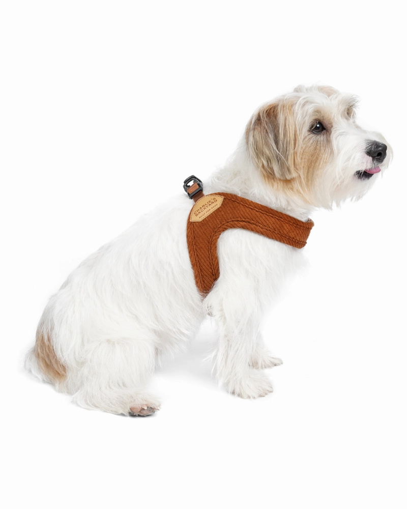 "Roy" Corduroy Buckle Up Easy Dog Harness in Caramel