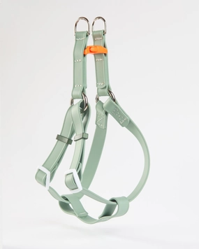 A Walk in the Park Waterproof Dog Harness in Sage Green (Made in the USA)