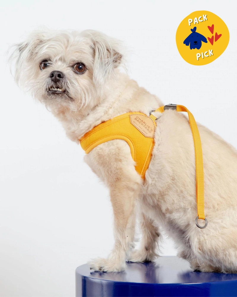 Adjustable Easy Dog Harness in Yellow (Dog & Co. X Charlie's Backyard Exclusive)