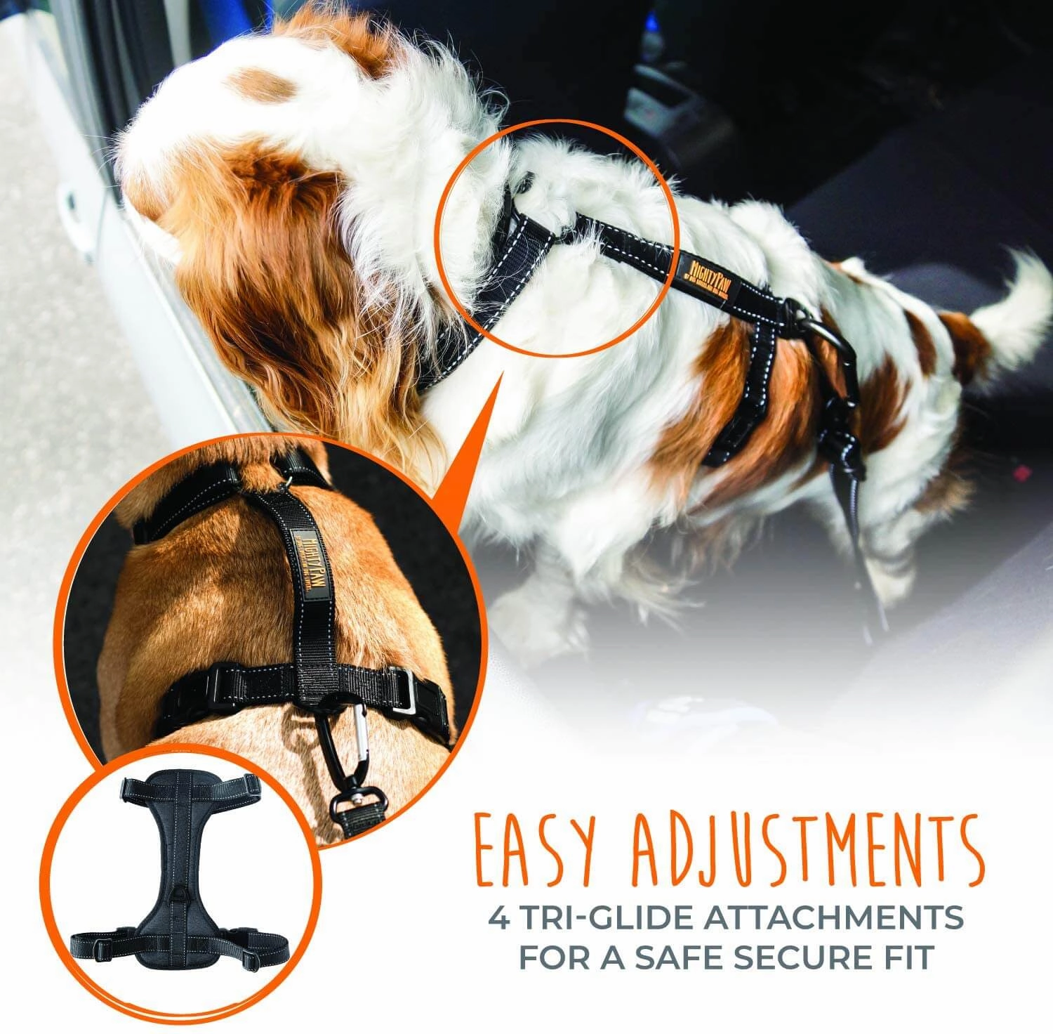 Adjustable Safety Harness