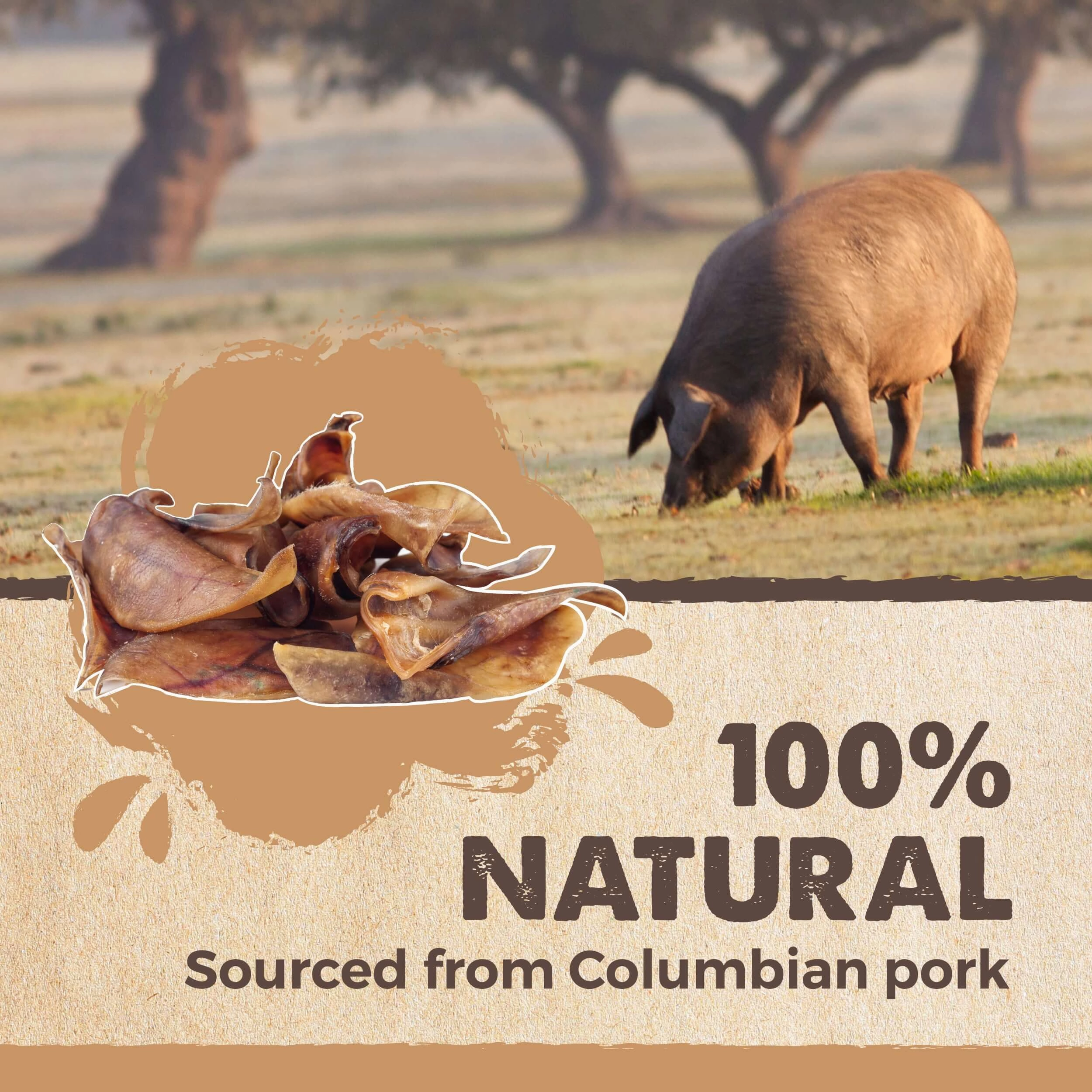 All-Natural Pig Ear Chews