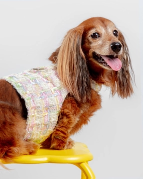 Annabella Dog Harness (Made in the USA)