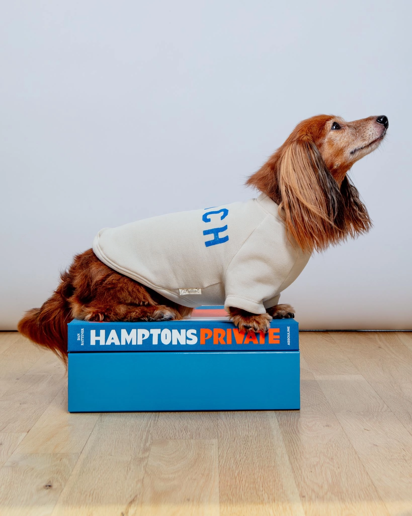 BEACH Dog Sweatshirt