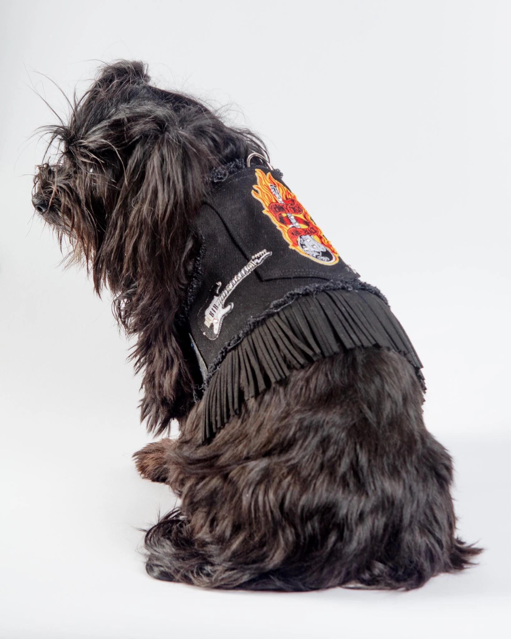 Black Denim Cowboy Dog Harness (Made in the USA) (FINAL SALE)