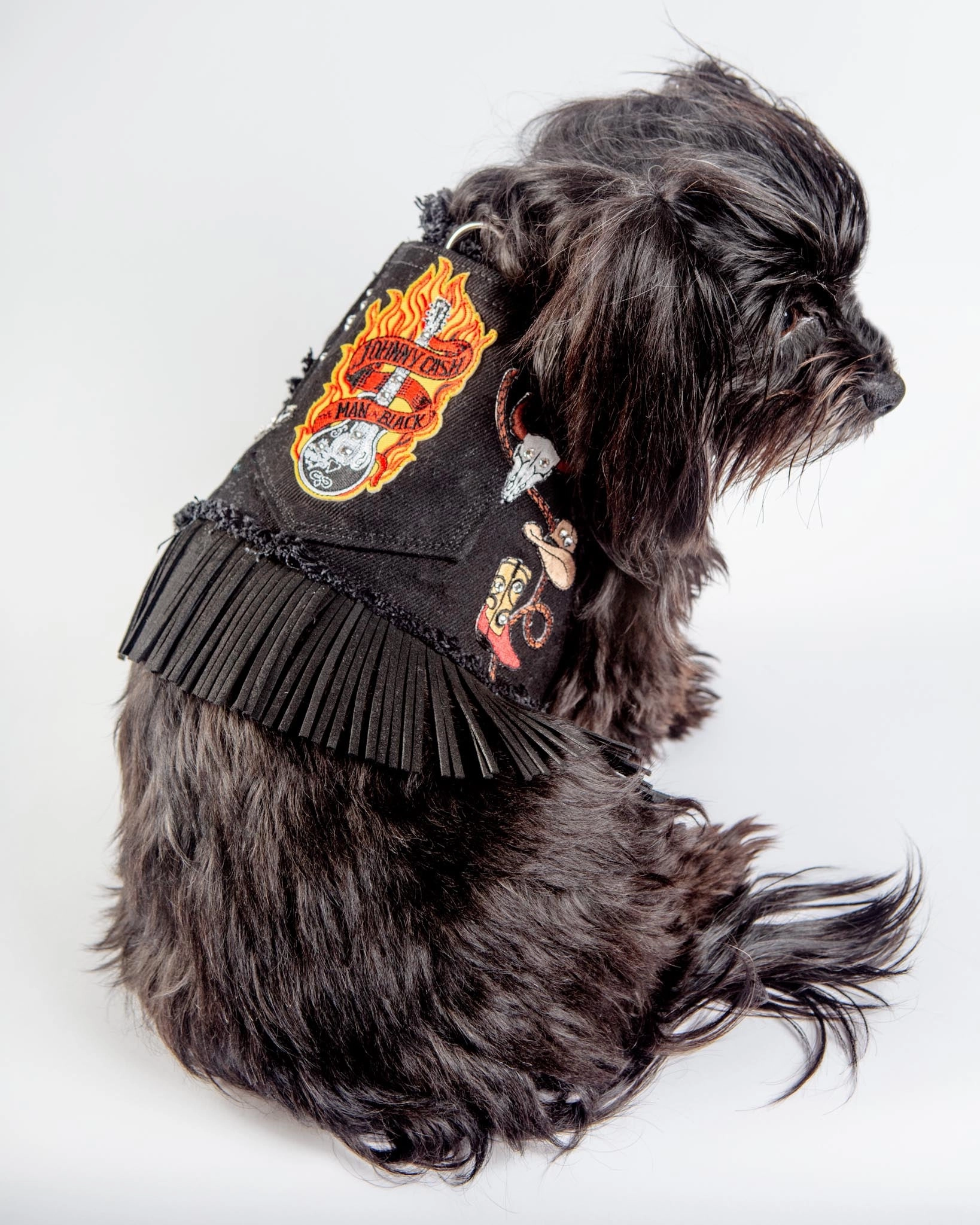 Black Denim Cowboy Dog Harness (Made in the USA) (FINAL SALE)