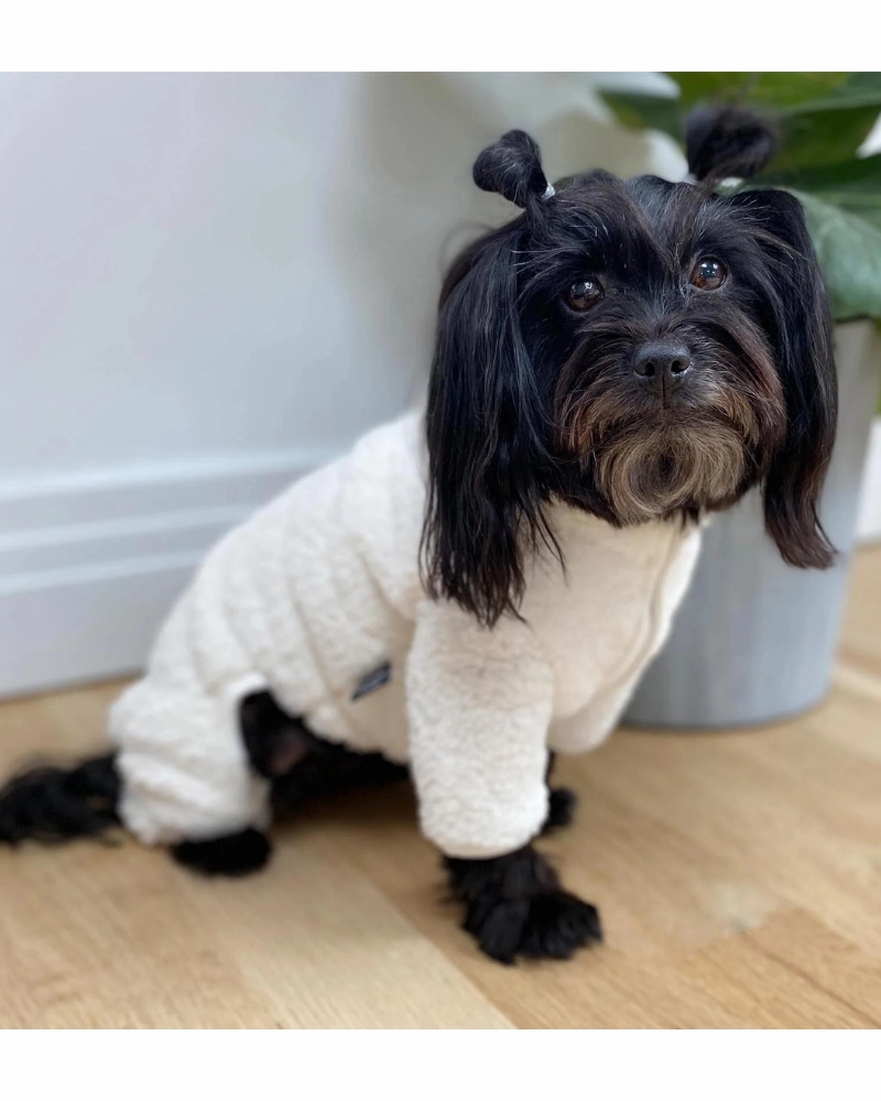 Boa Fleece Onesie in Cream (Dog & Co. Exclusive) (FINAL SALE)