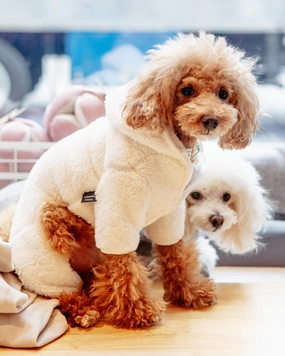 Boa Fleece Onesie in Cream (Dog & Co. Exclusive) (FINAL SALE)
