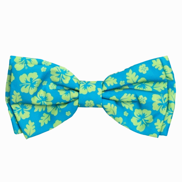 Bow Tie | Aloha Turquoise