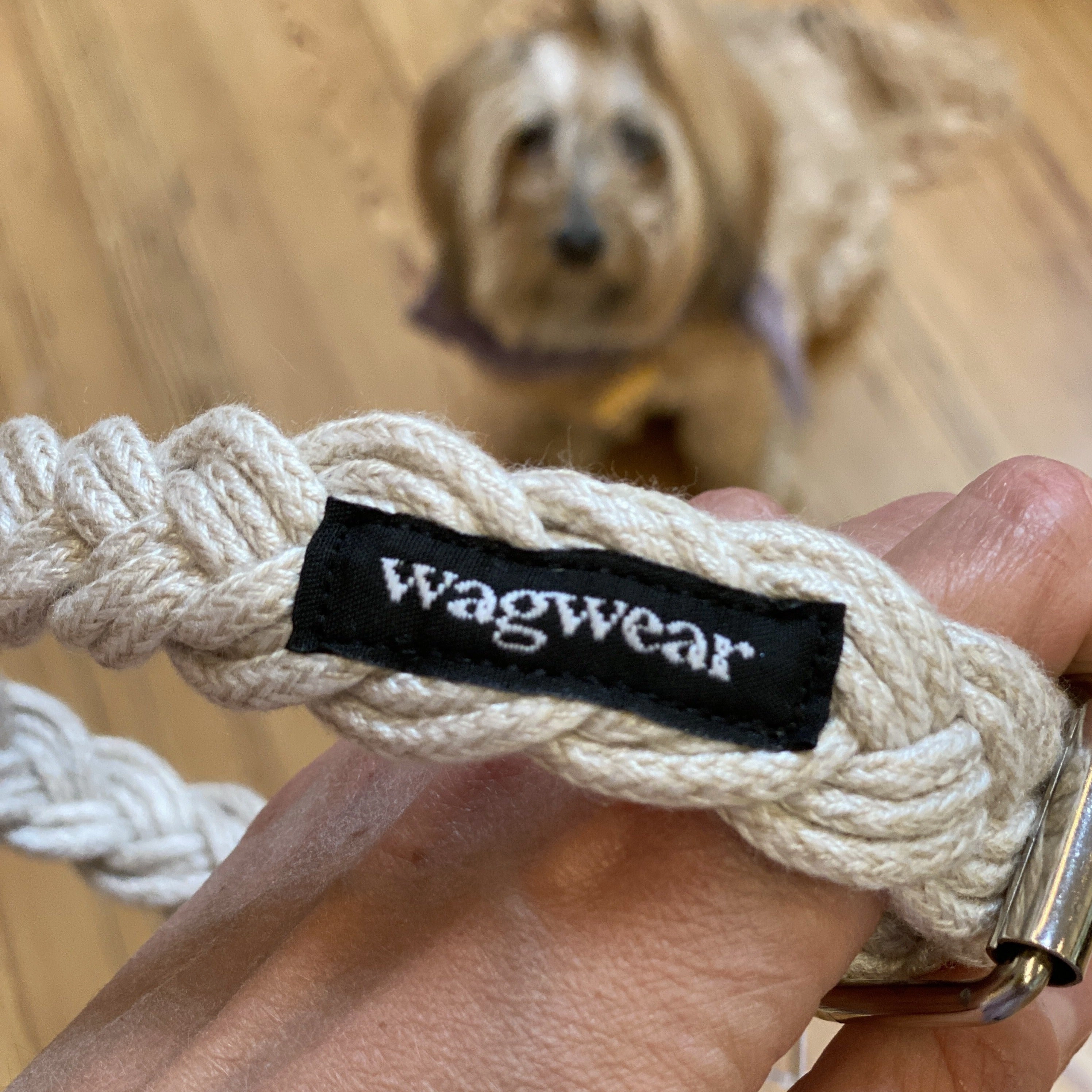 Braided Fisherman Dog Collar in Off-White (Made in the USA)