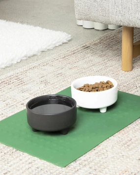 Bubbles Dog Placemat in Forest Green
