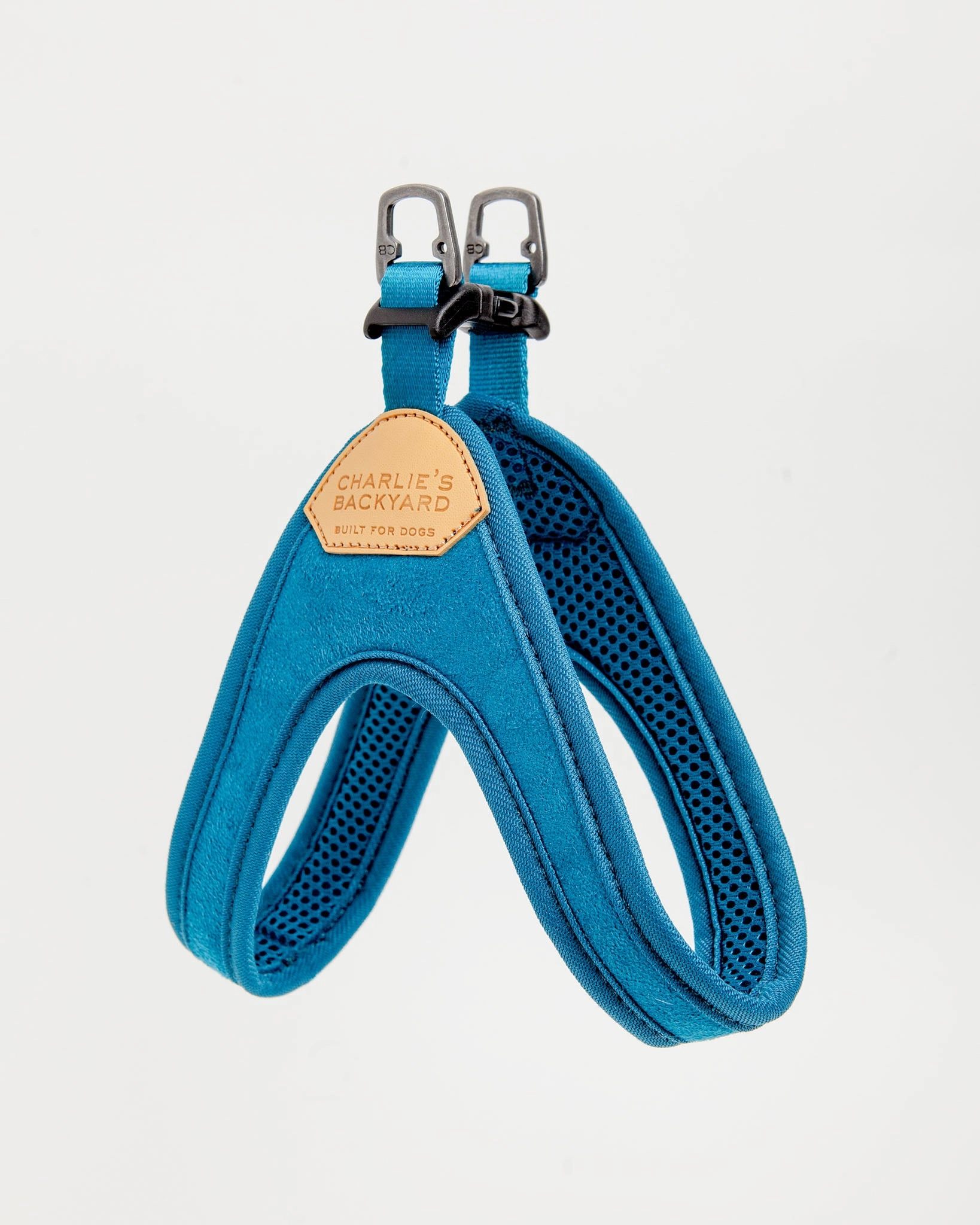 Buckle Up Easy Dog Harness in Teal