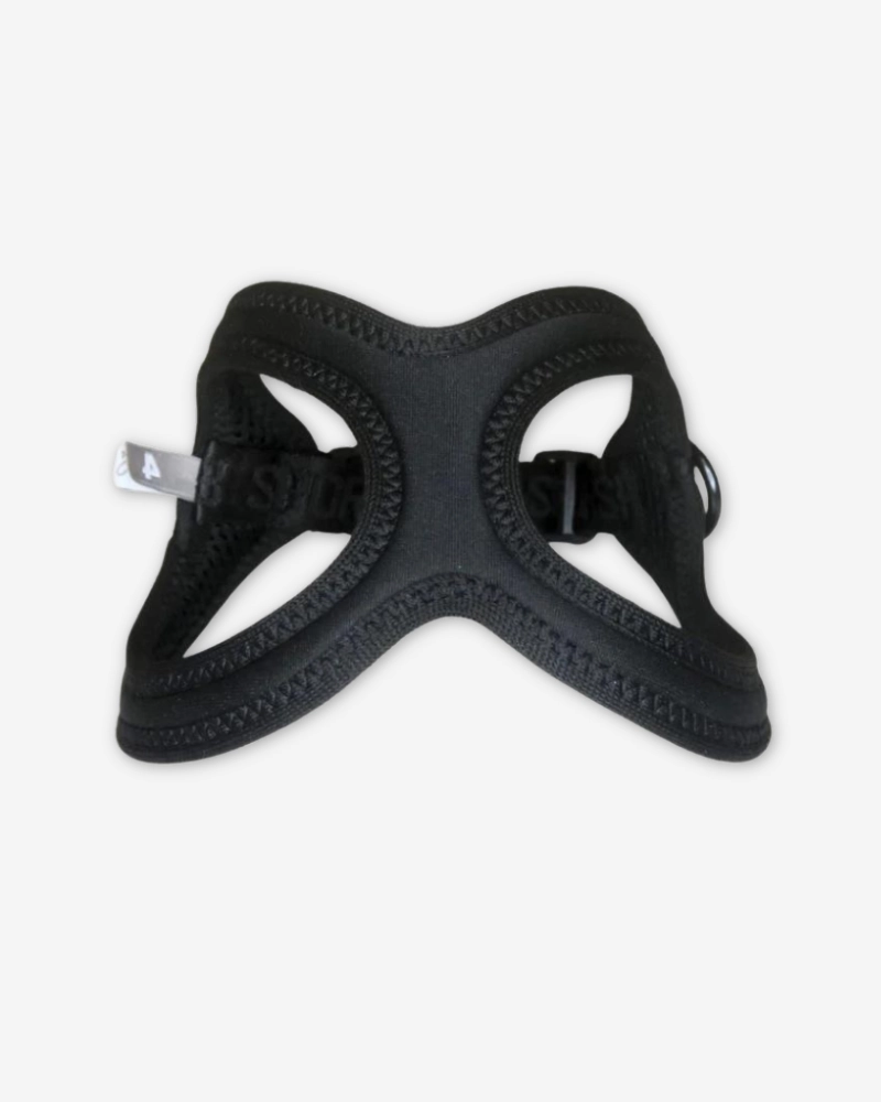 Buddy Belt Sport Harness for Dogs in Black