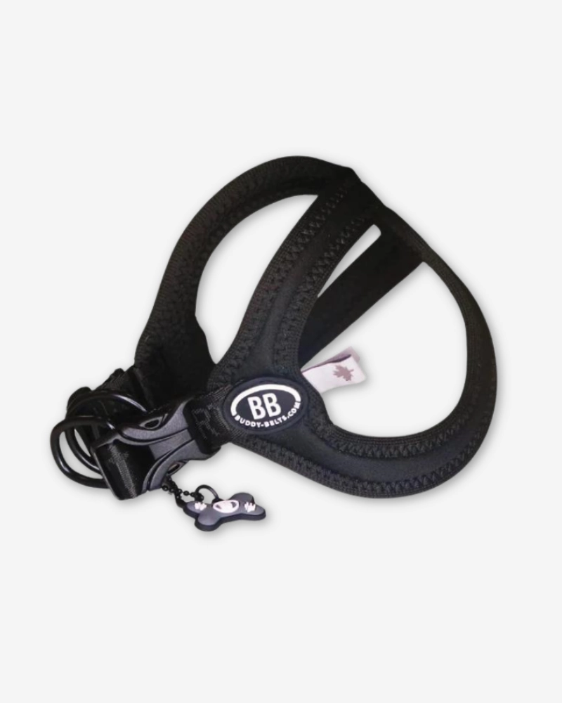 Buddy Belt Sport Harness for Dogs in Black