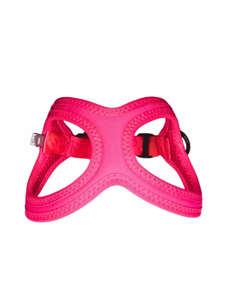 Buddy Belt Sport Harness for Dogs in Neon Pink
