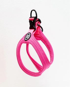 Buddy Belt Sport Harness for Dogs in Neon Pink