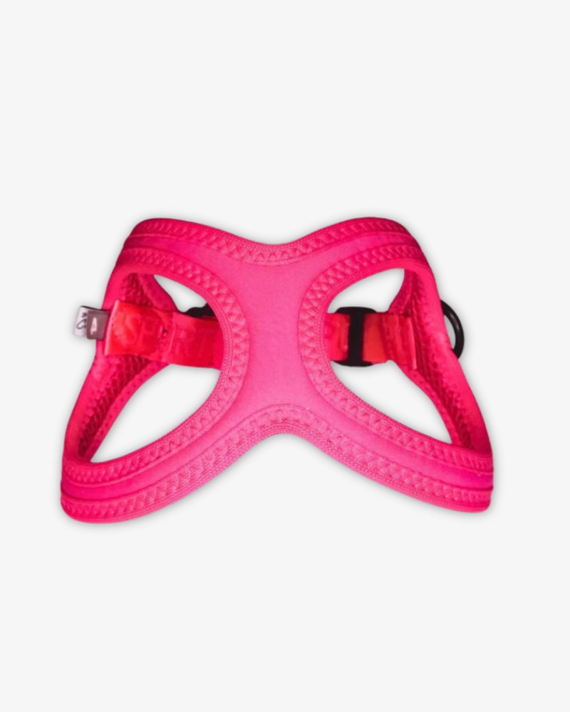 Buddy Belt Sport Harness for Dogs in Neon Pink