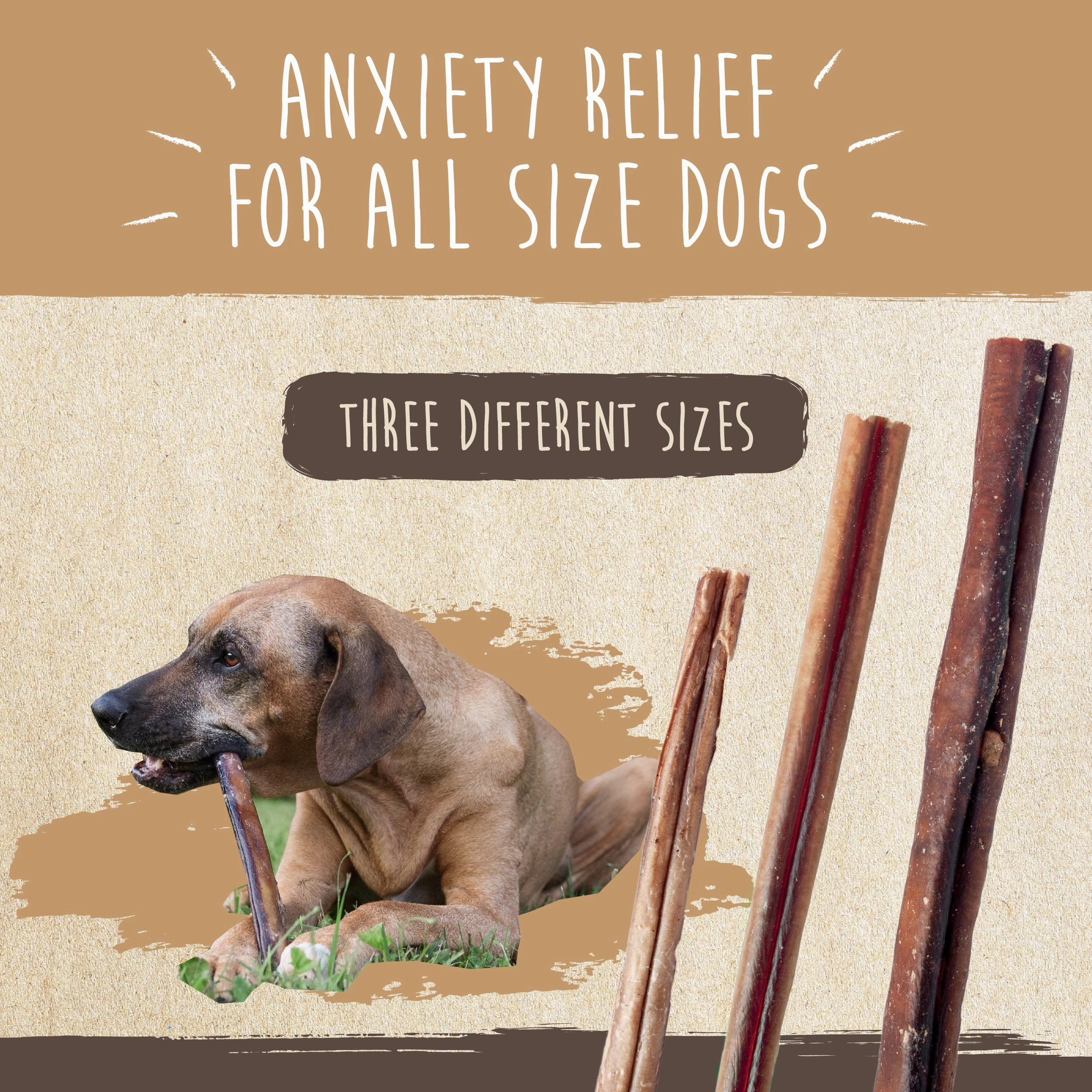 Bulk All-Natural Bully Sticks