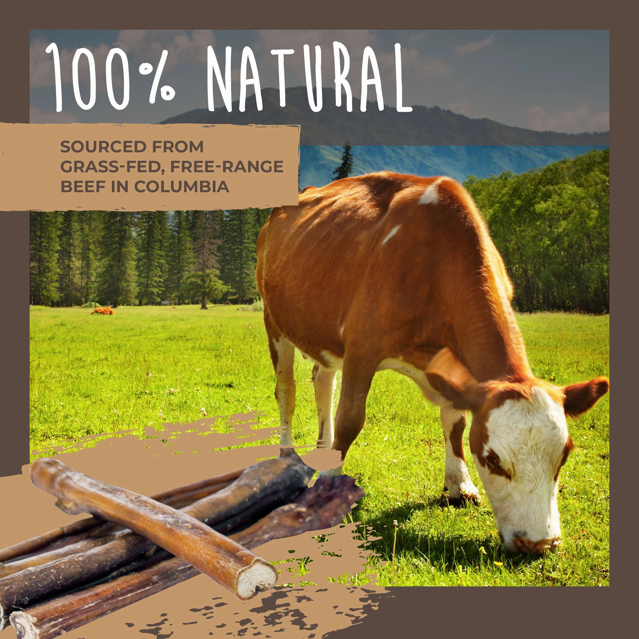 Bulk All-Natural Bully Sticks