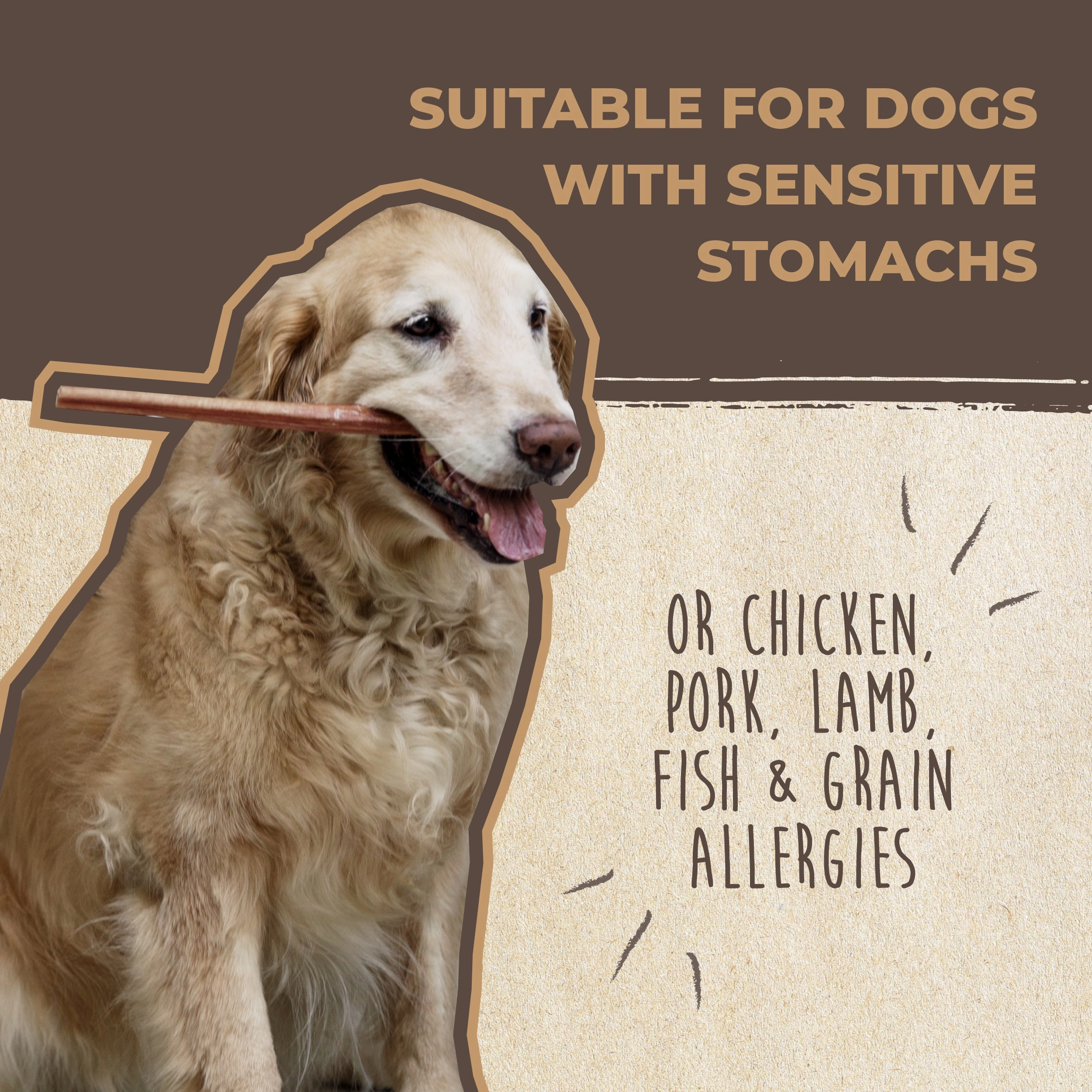 Bulk All-Natural Bully Sticks