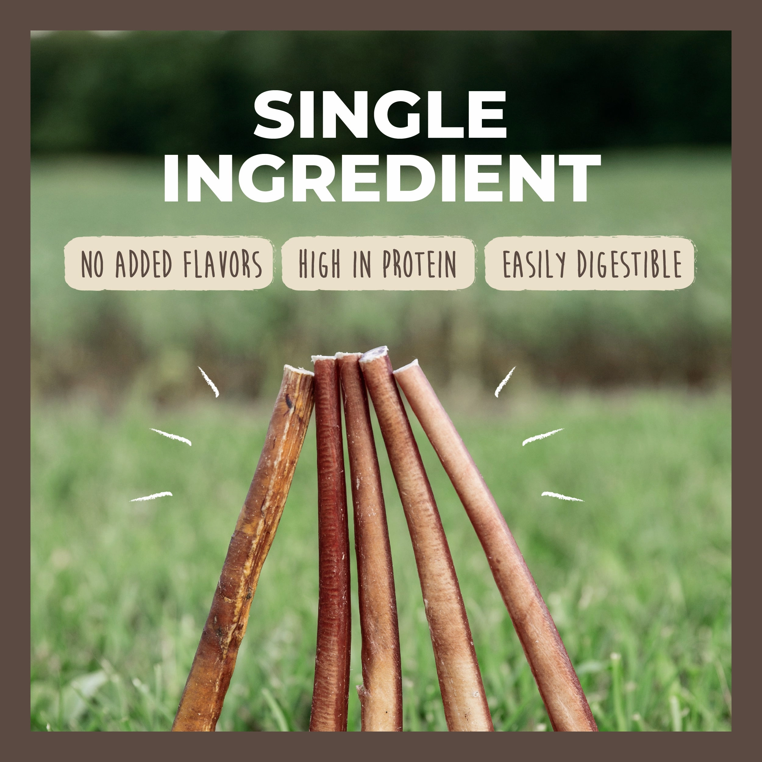 Bulk All-Natural Bully Sticks