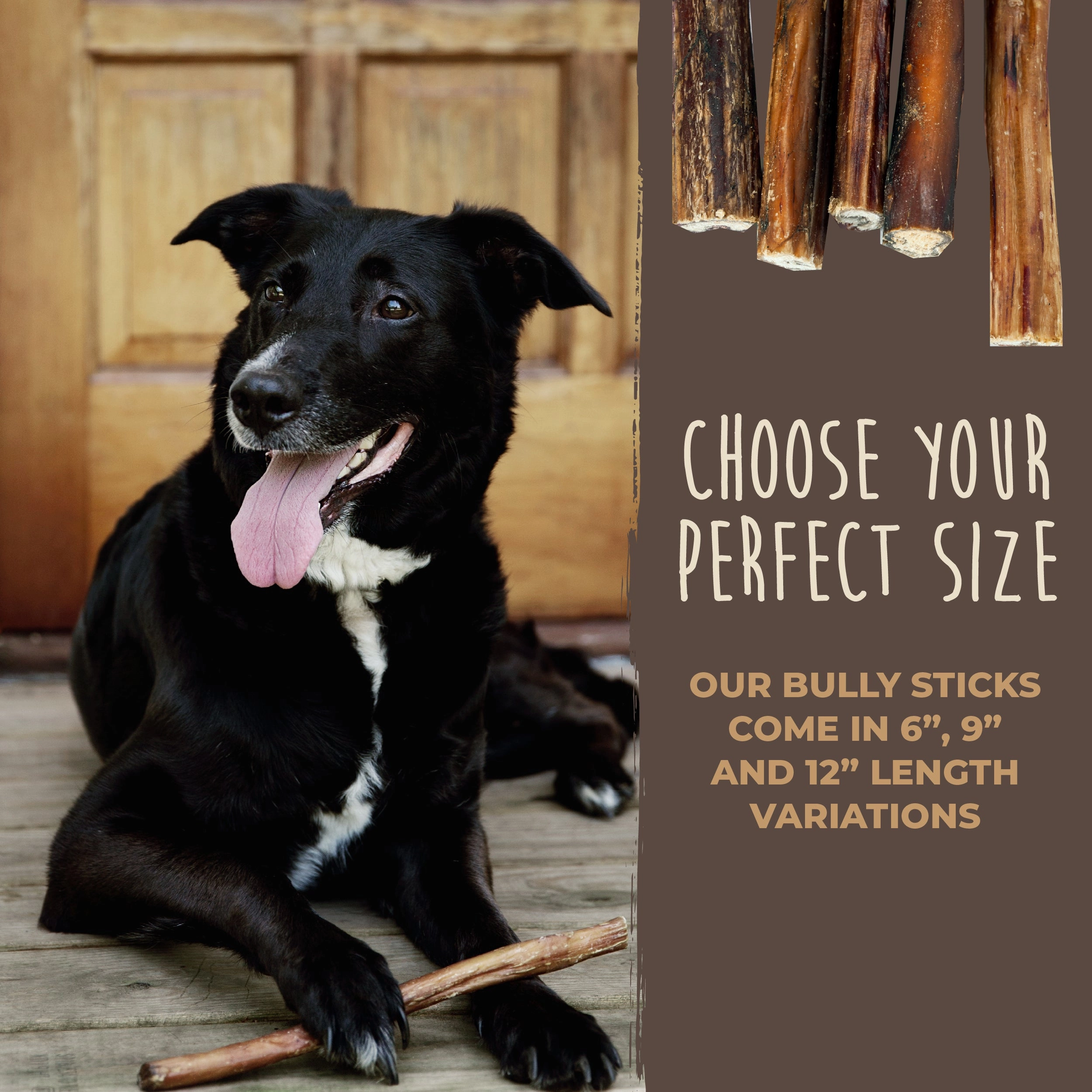 Bulk All-Natural Bully Sticks
