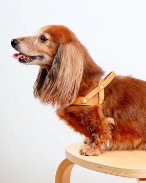 Butter Leather Dog Harness in Sahara Cognac (Made in Austria)