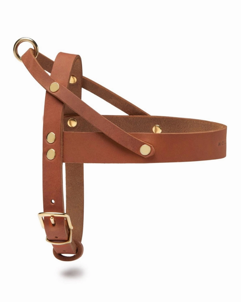 Butter Leather Dog Harness in Sahara Cognac (Made in Austria)