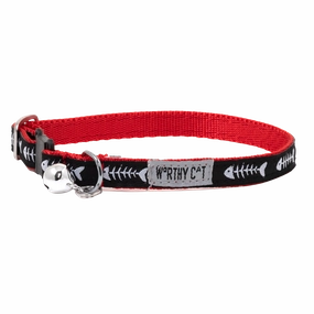 Cat Collar | Dinner