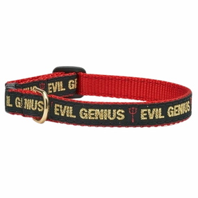 Cat Collar | Evil Genius