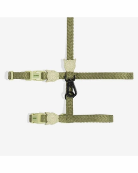 Cat Harness with Leash in Moss