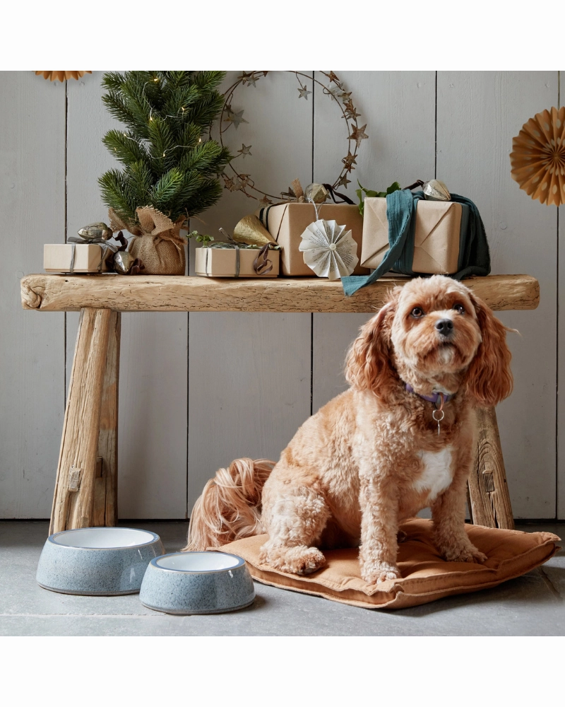 Ceramic Pet Bowl in Kiln White (Made in England)