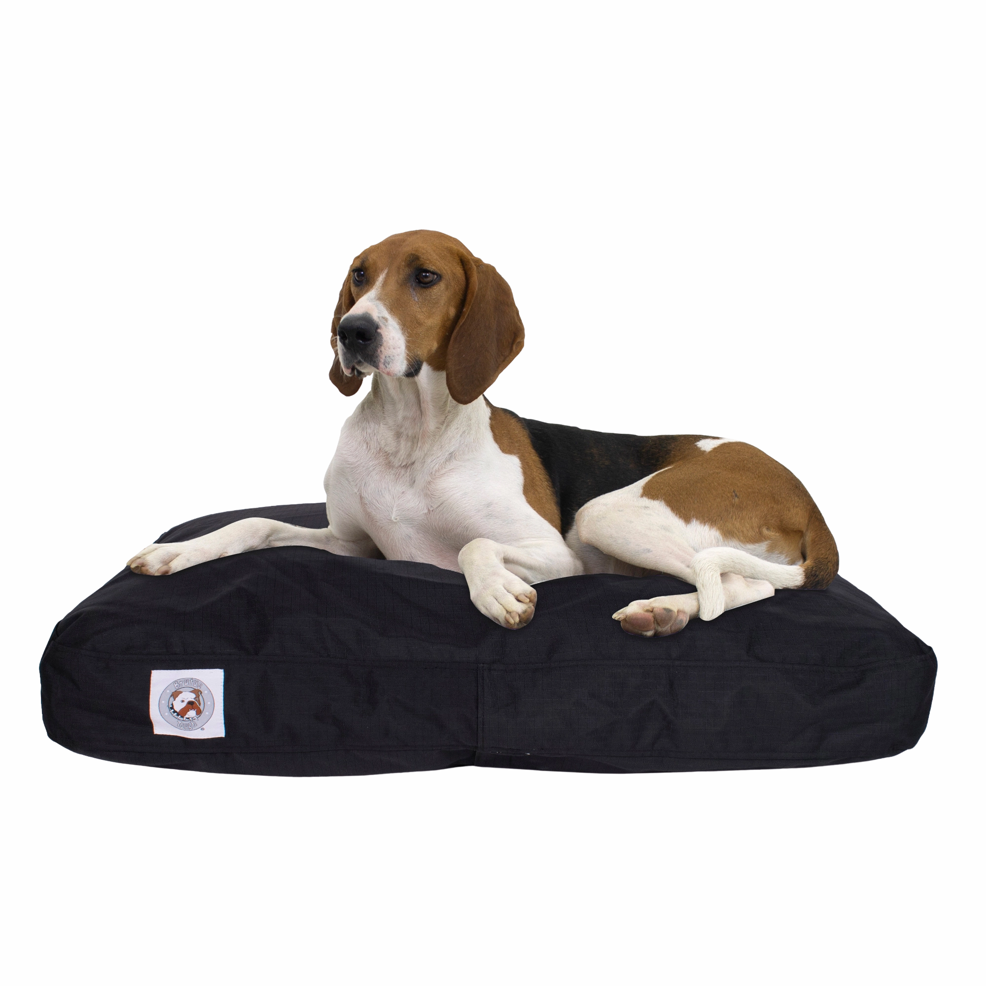 Chew Resistant Napper | Black