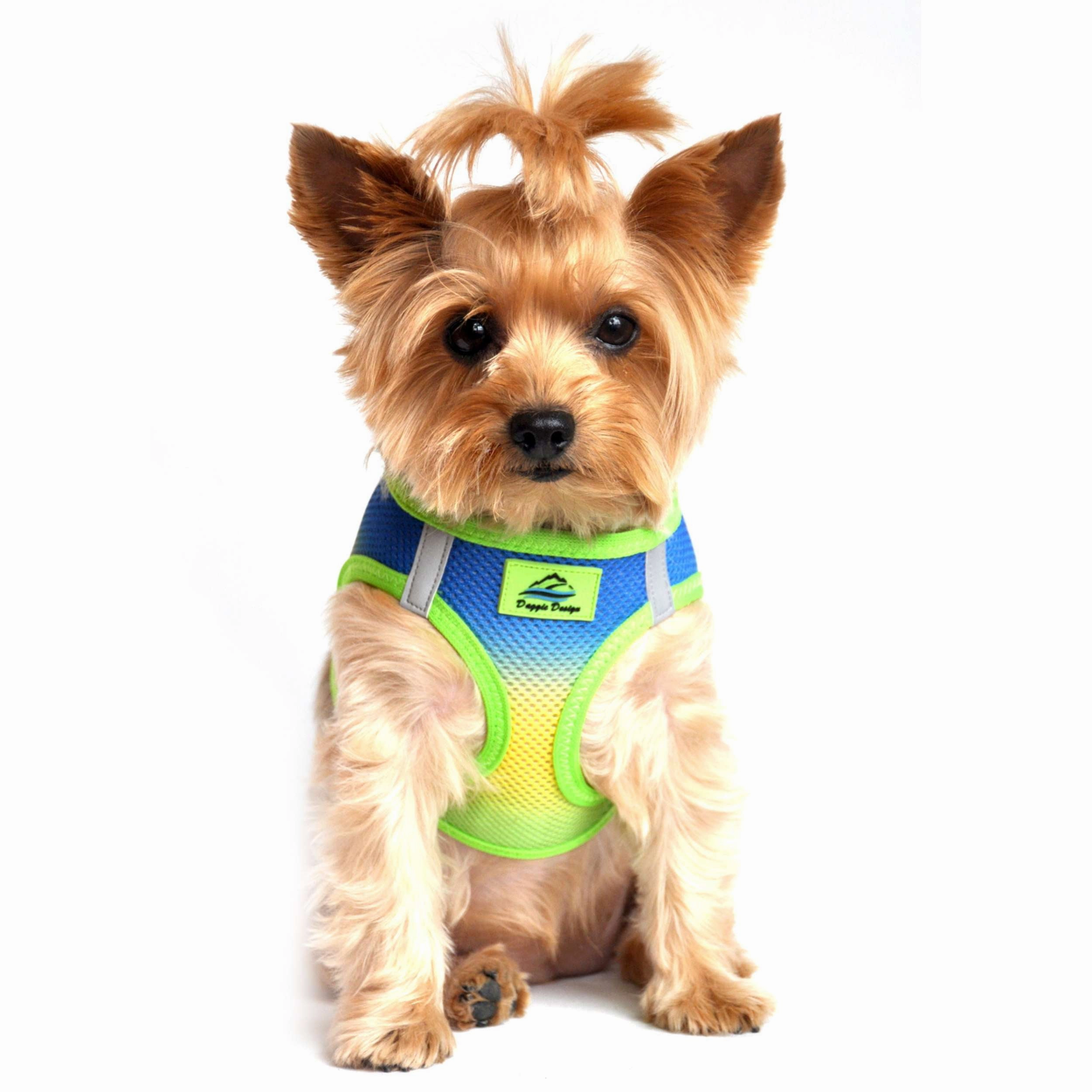 Choke-Free Mesh Harness | Ombre Cobalt Sport