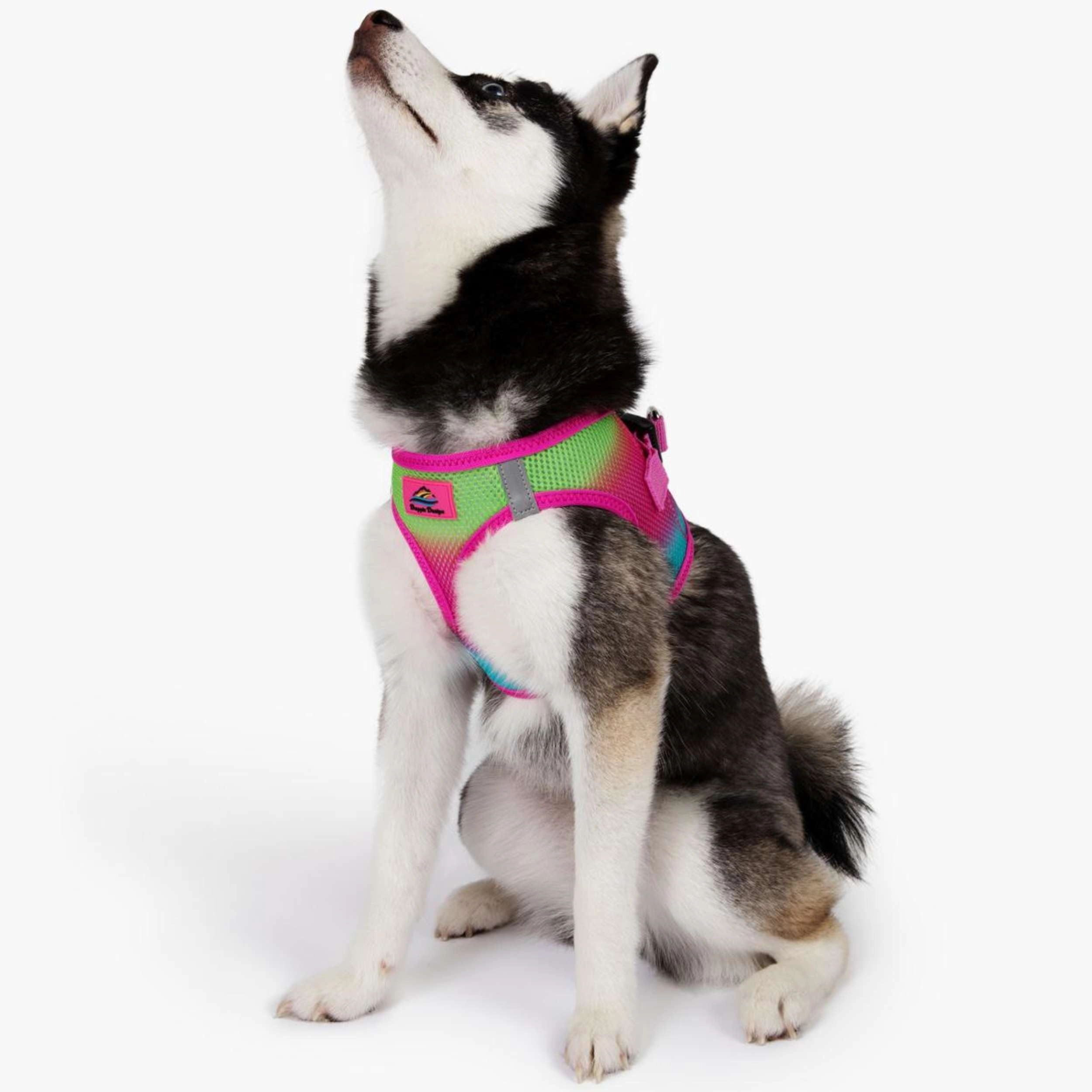 Choke-Free Mesh Harness | Ombre Cotton Candy