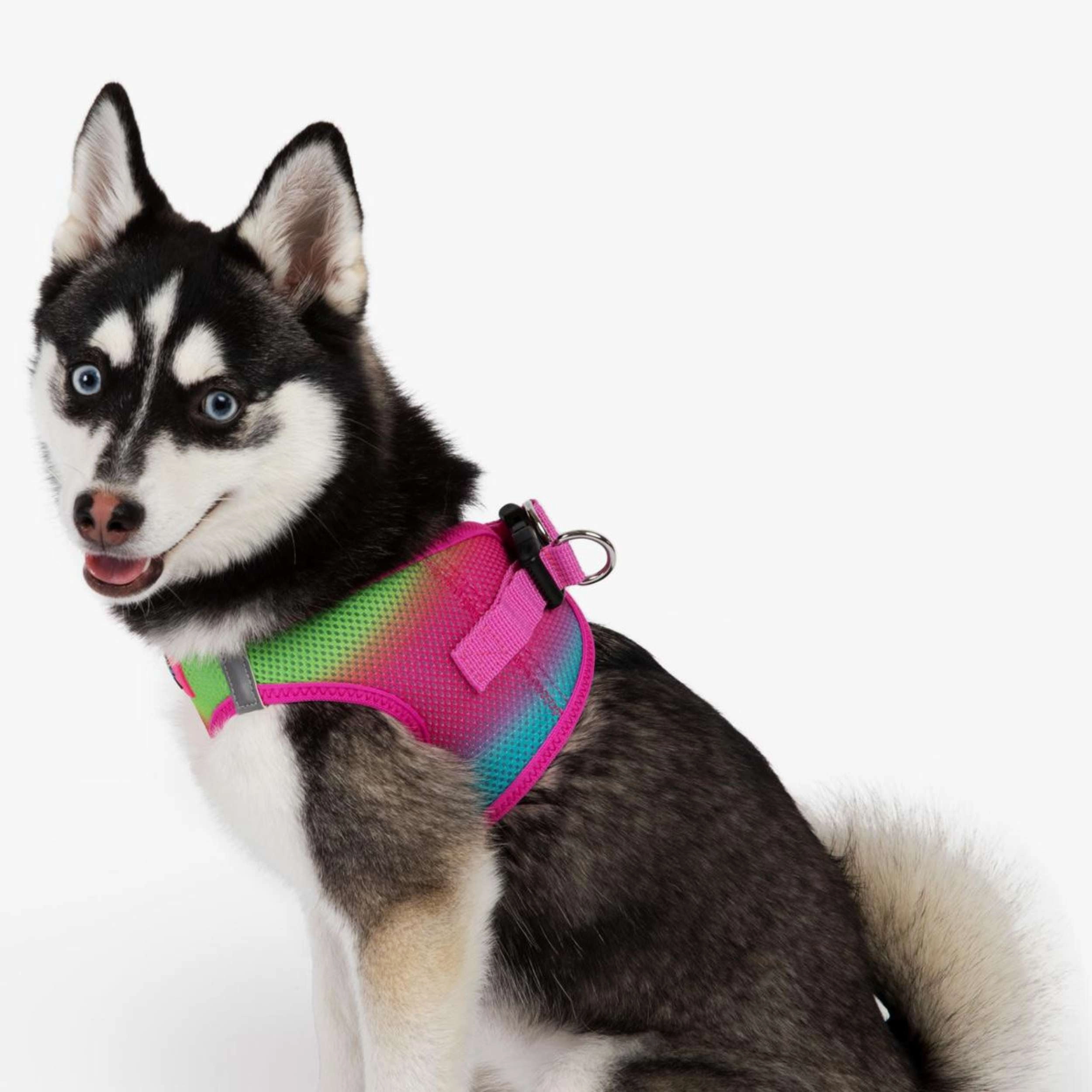 Choke-Free Mesh Harness | Ombre Cotton Candy