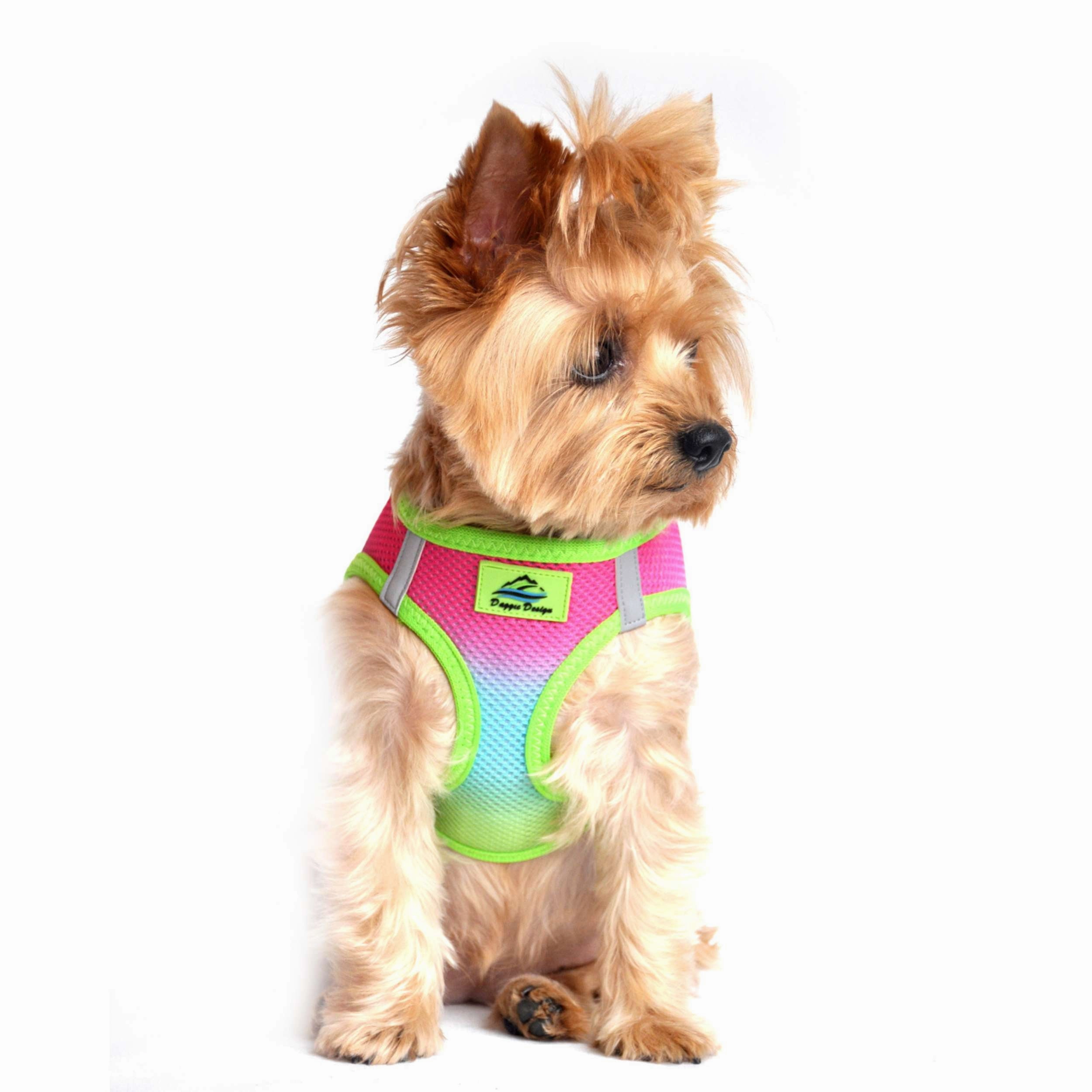 Choke-Free Mesh Harness | Ombre Rainbow