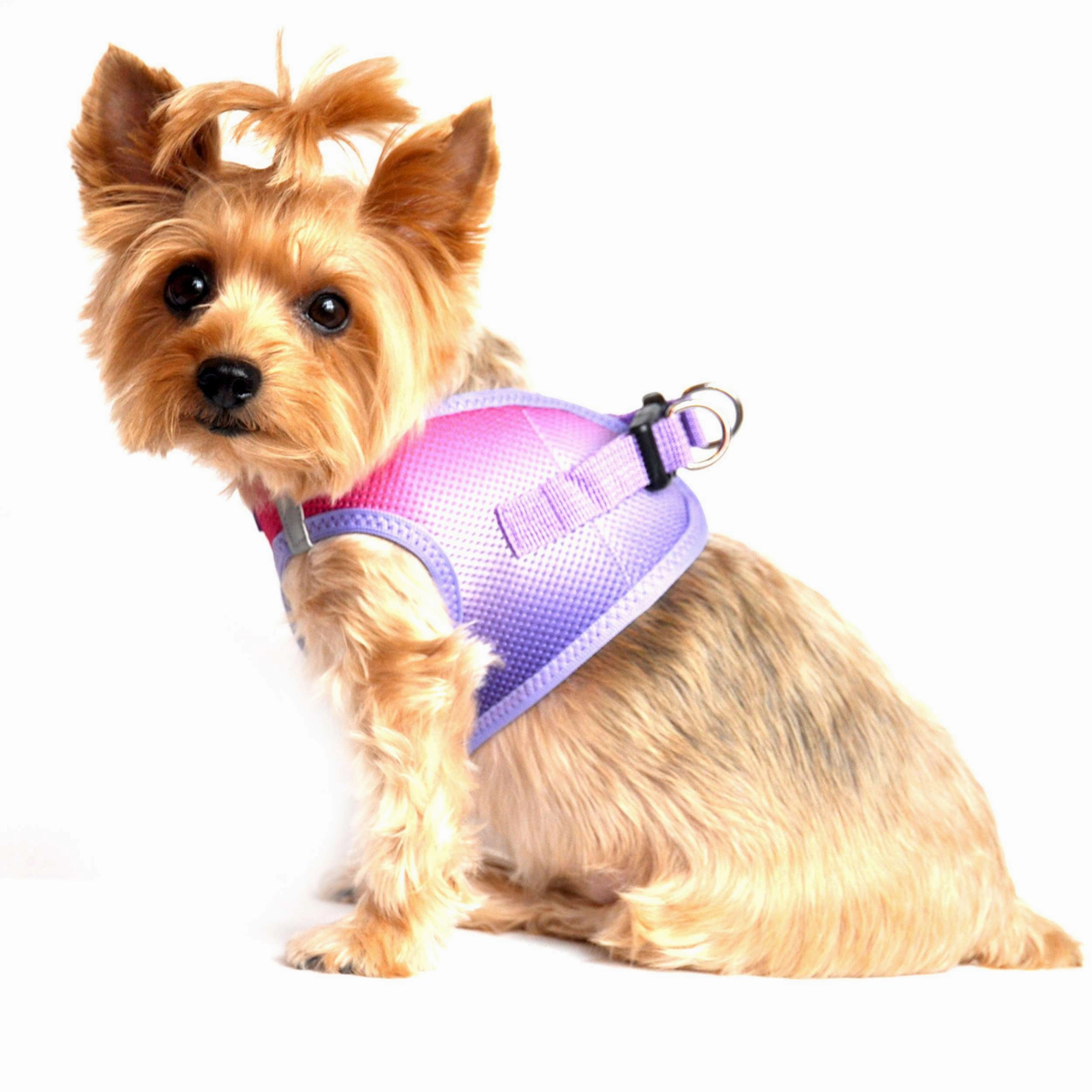 Choke-Free Mesh Harness | Ombre Raspberry Sundae