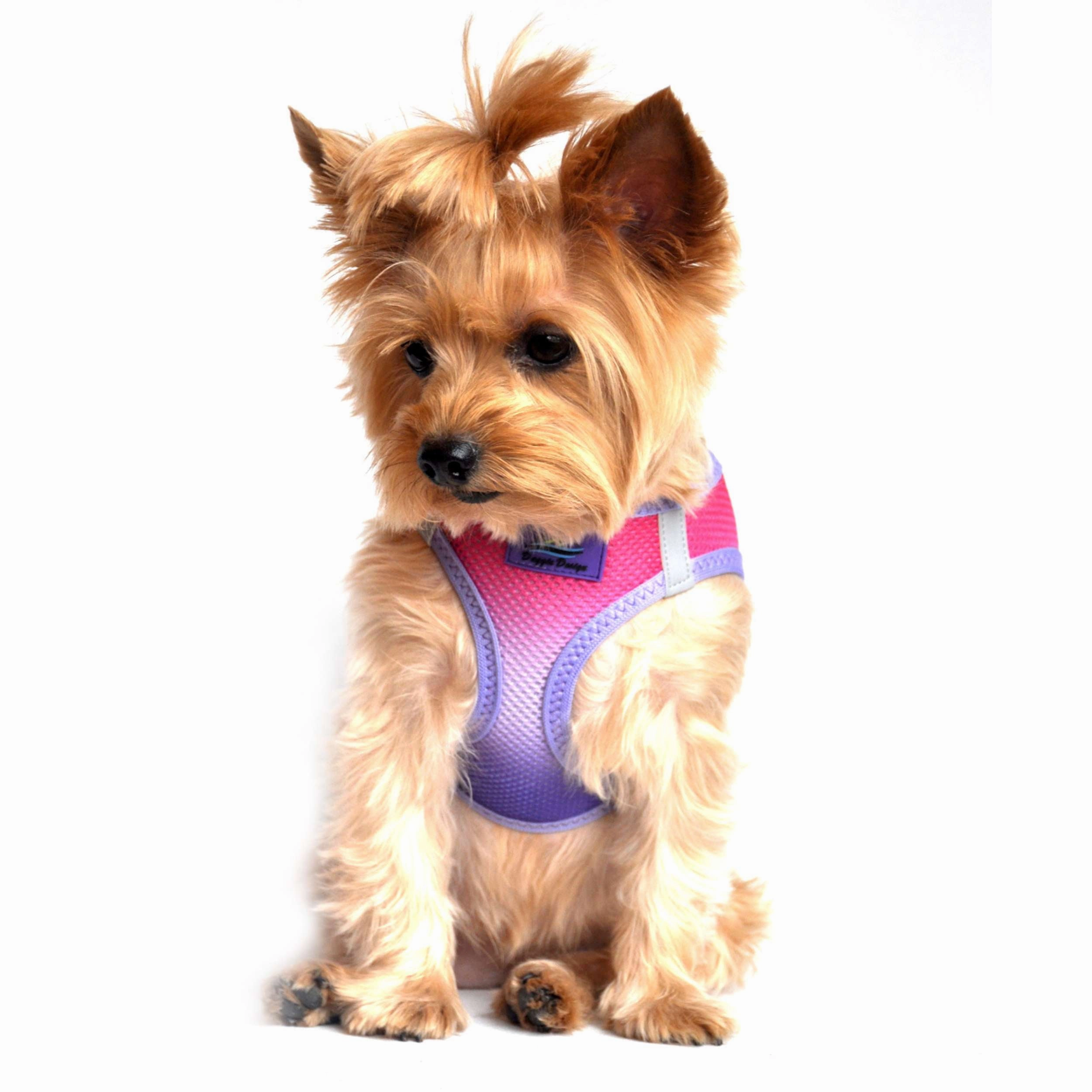 Choke-Free Mesh Harness | Ombre Raspberry Sundae