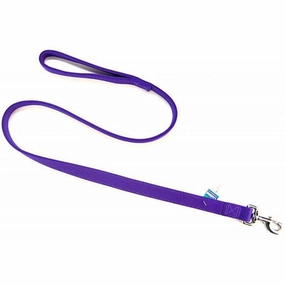 Coastal Pet Double Nylon Lead - Purple - 48" Long x 1" Wide