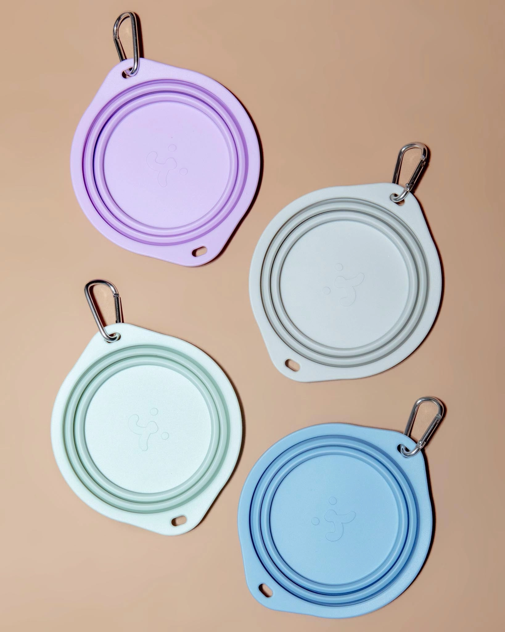 Collapsible Silicone Travel Dog Bowl