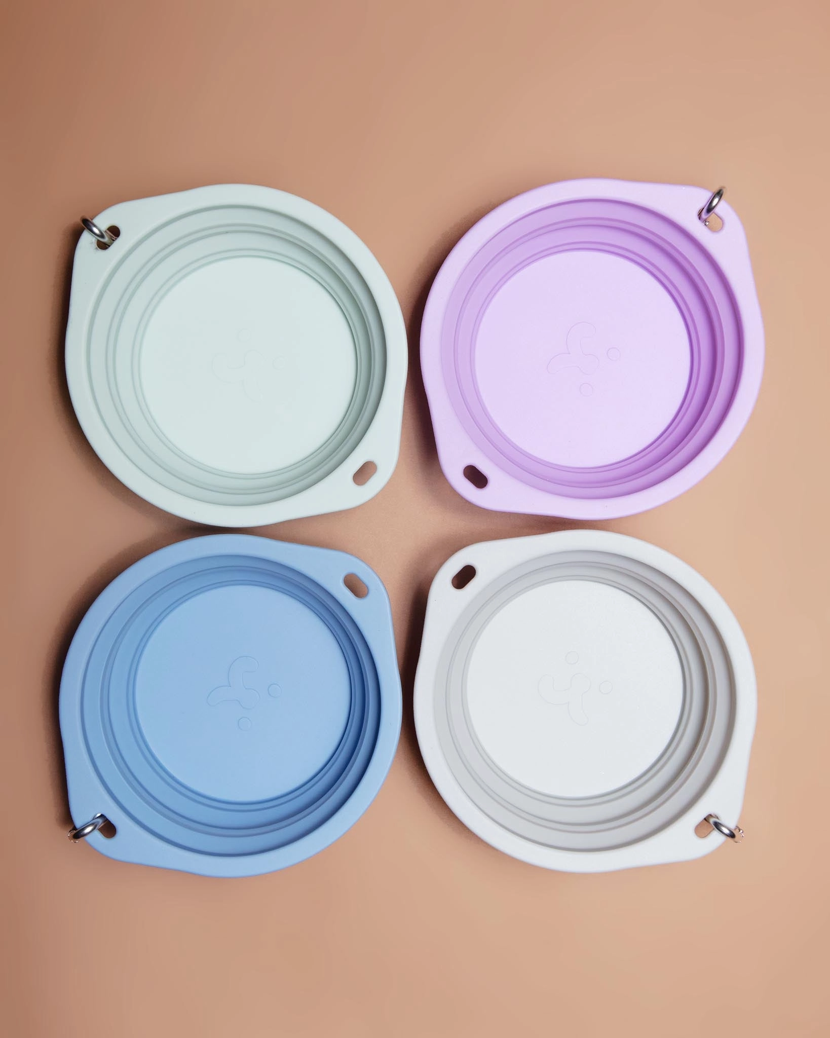Collapsible Silicone Travel Dog Bowl