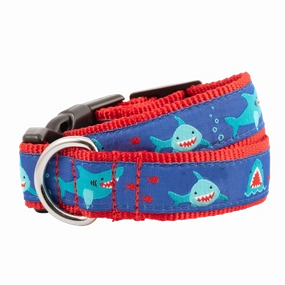 Collar | Chomp Sharks