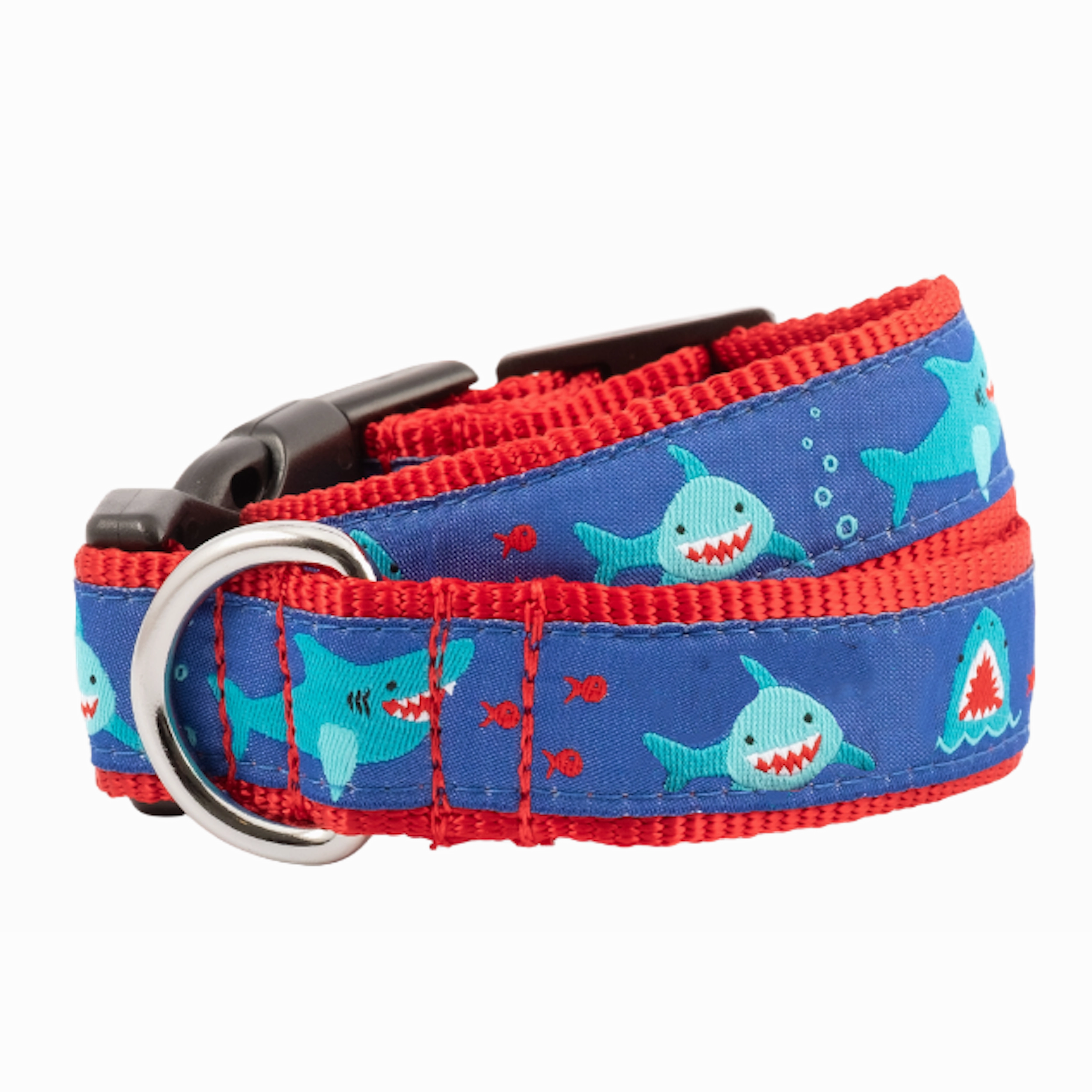 Collar | Chomp Sharks