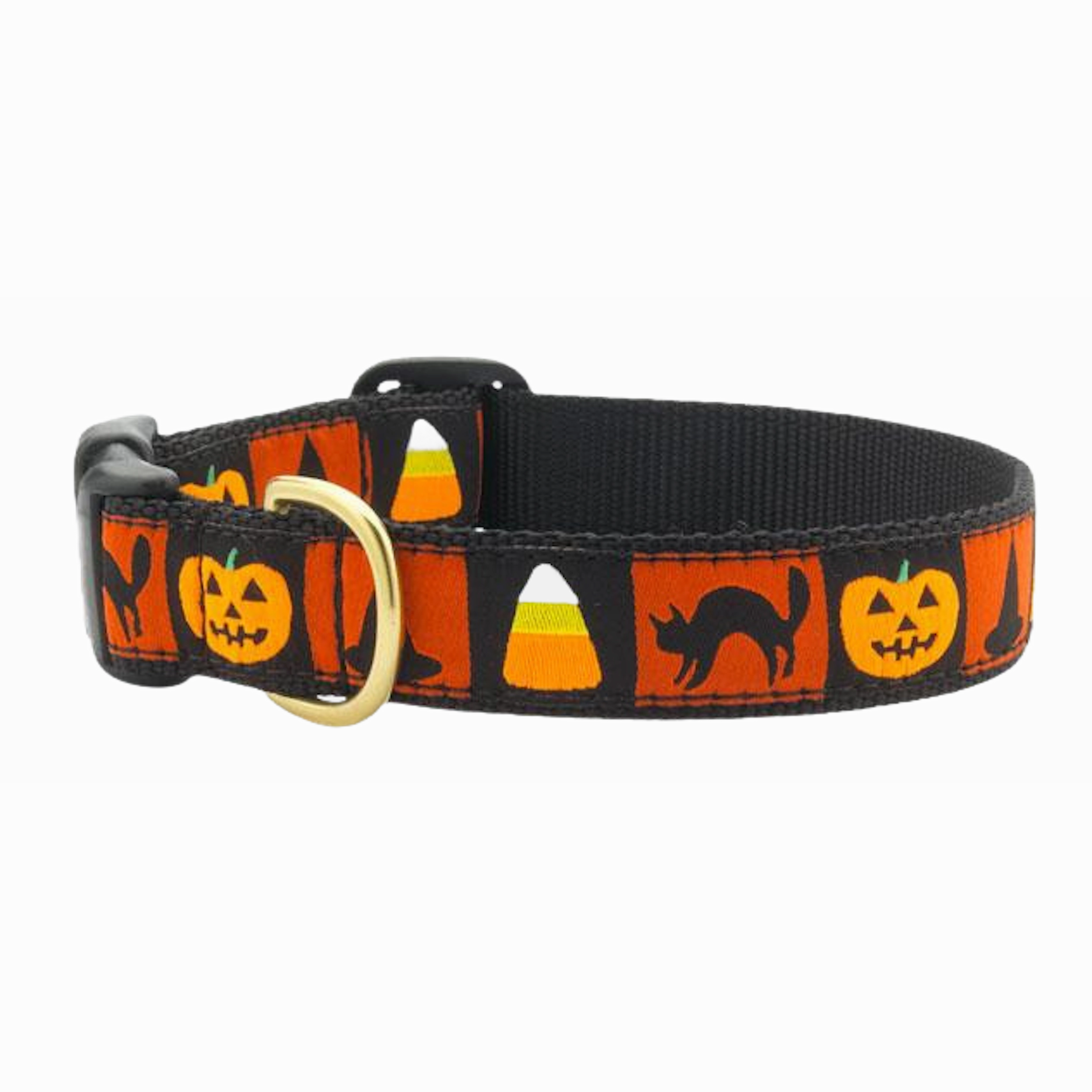 Collar | Halloween