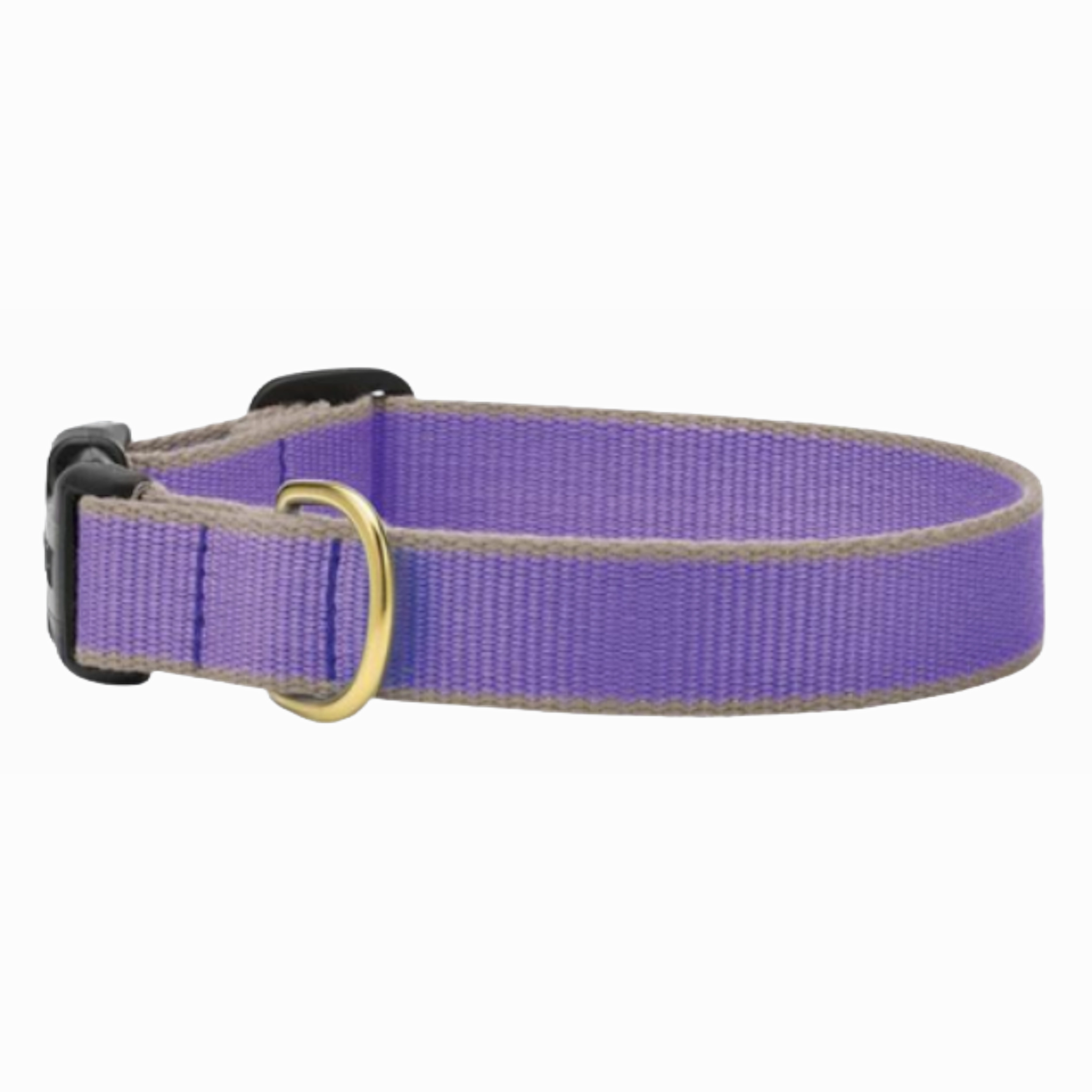 Collar | Purple & Gray