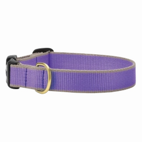 Collar | Purple & Gray