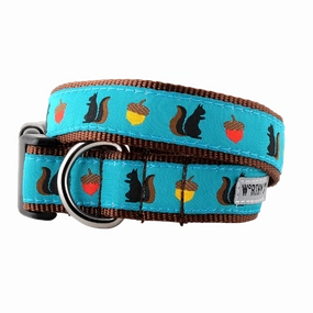 Collar | Squirrelly