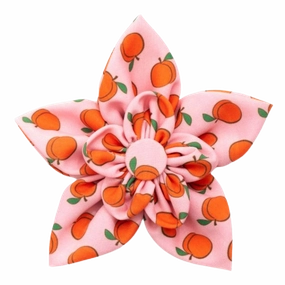 Collar Flower | Peachy Keen