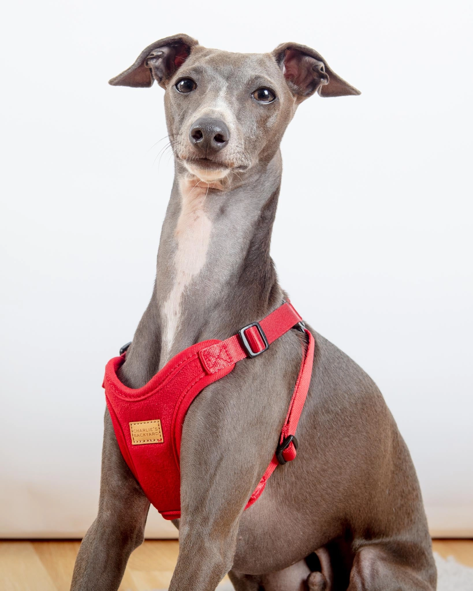 Comfort Dog Harness in Red